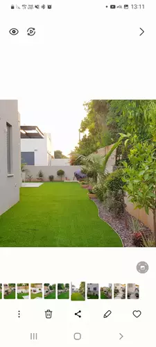 תכנון והקמת גינה בבית פרטי 5